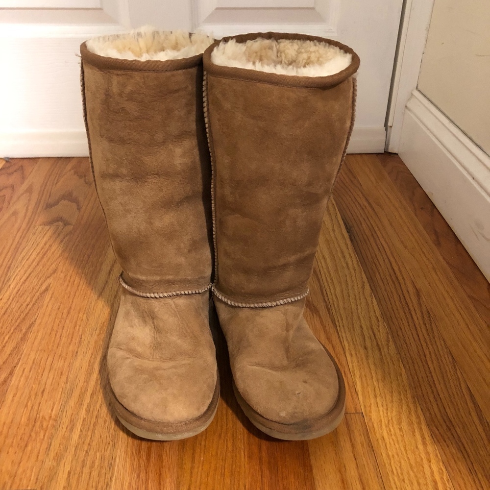 Women's Tall Ugg Boot in Chestnut